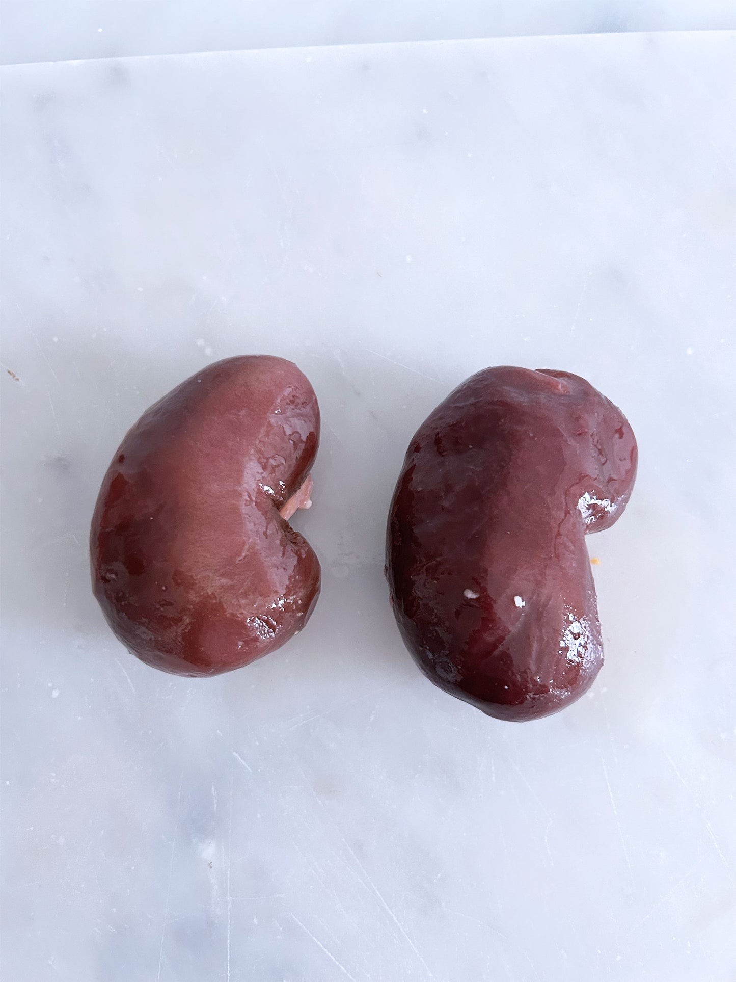 Pork Kidney