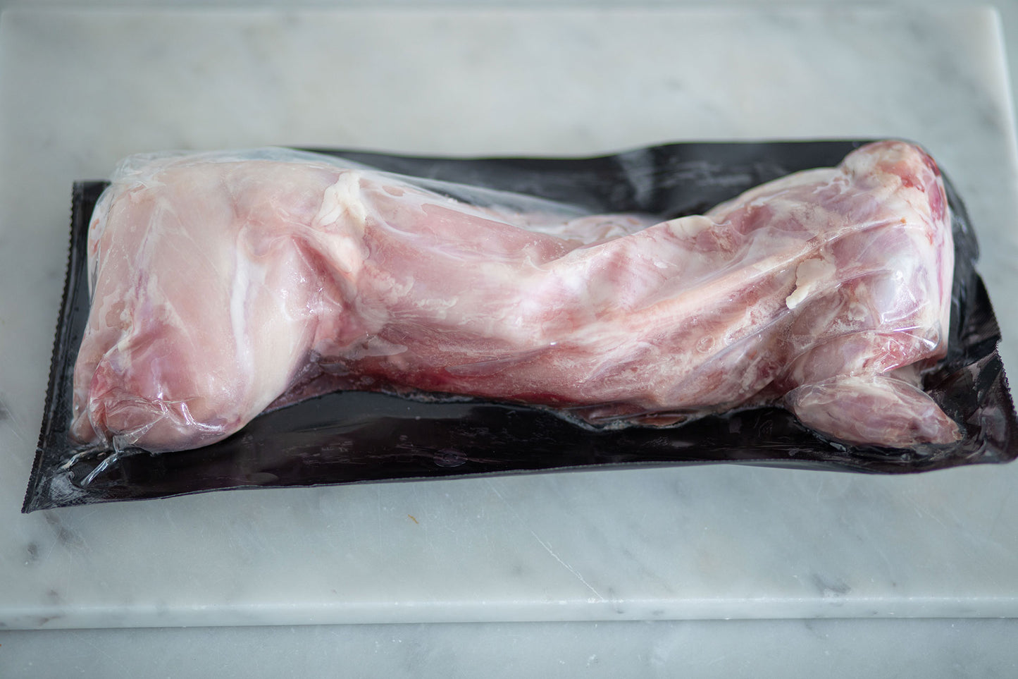 Rabbit
