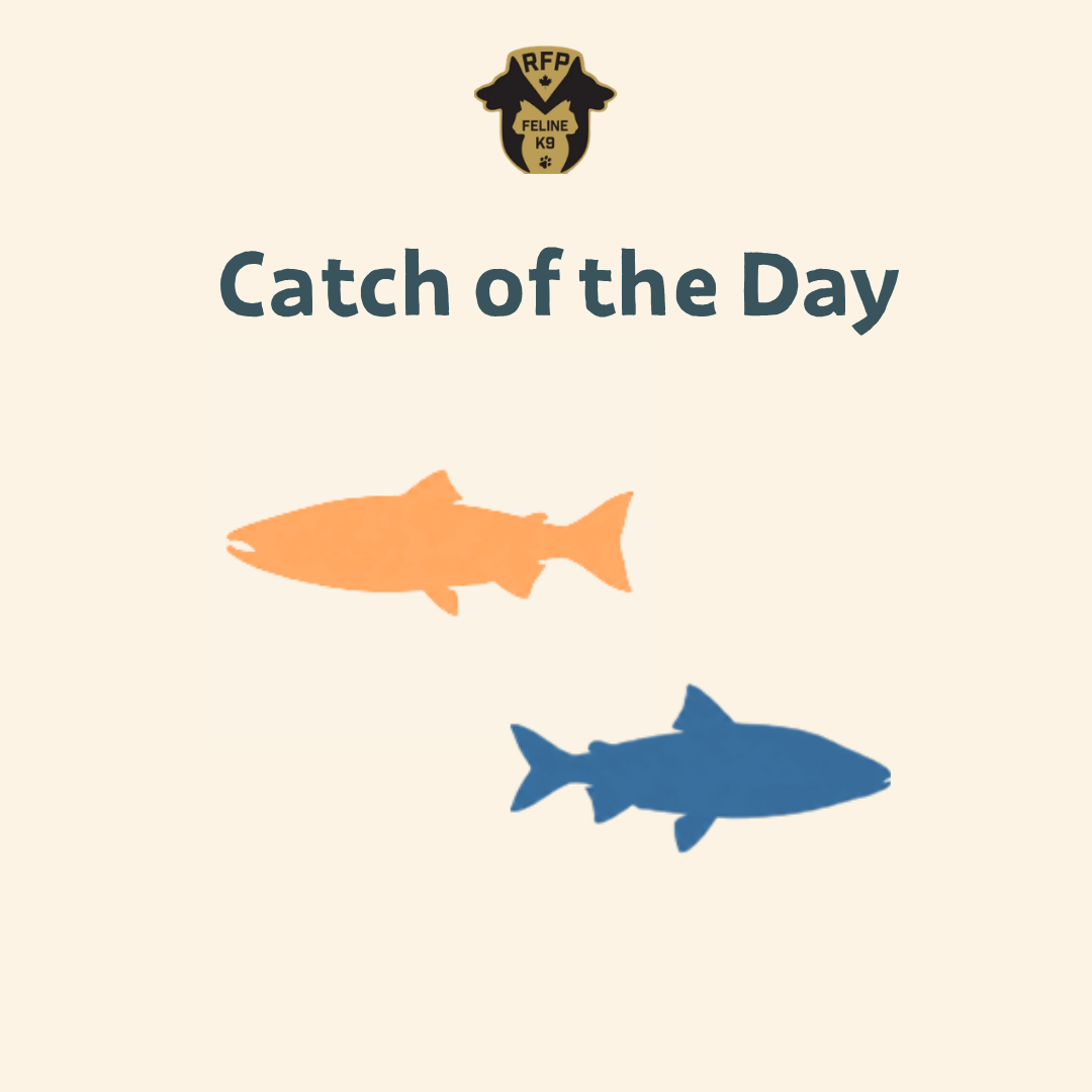 Catch of the Day - Fish Blend - 5 lb