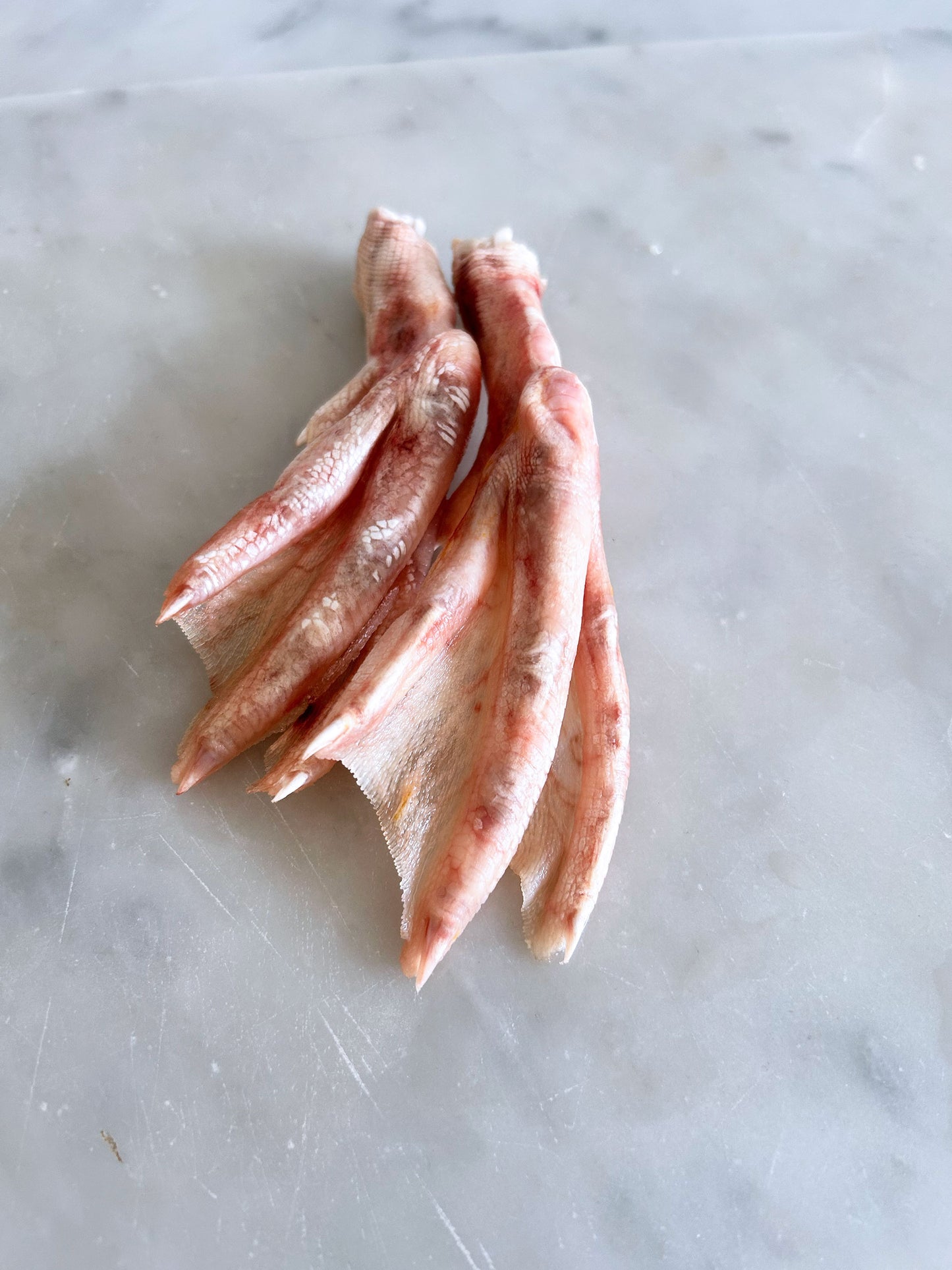 Duck Feet