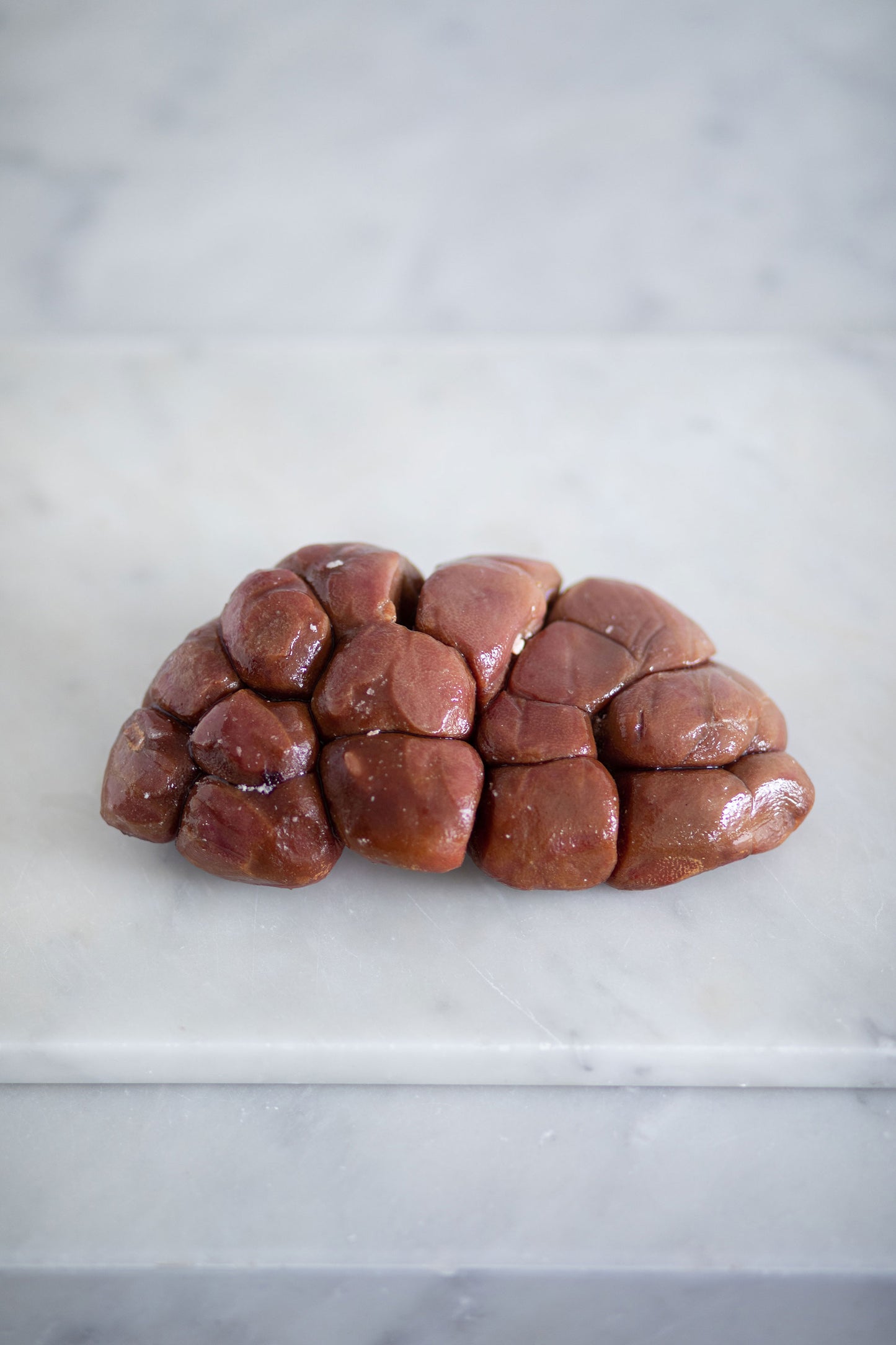 Goat Kidney