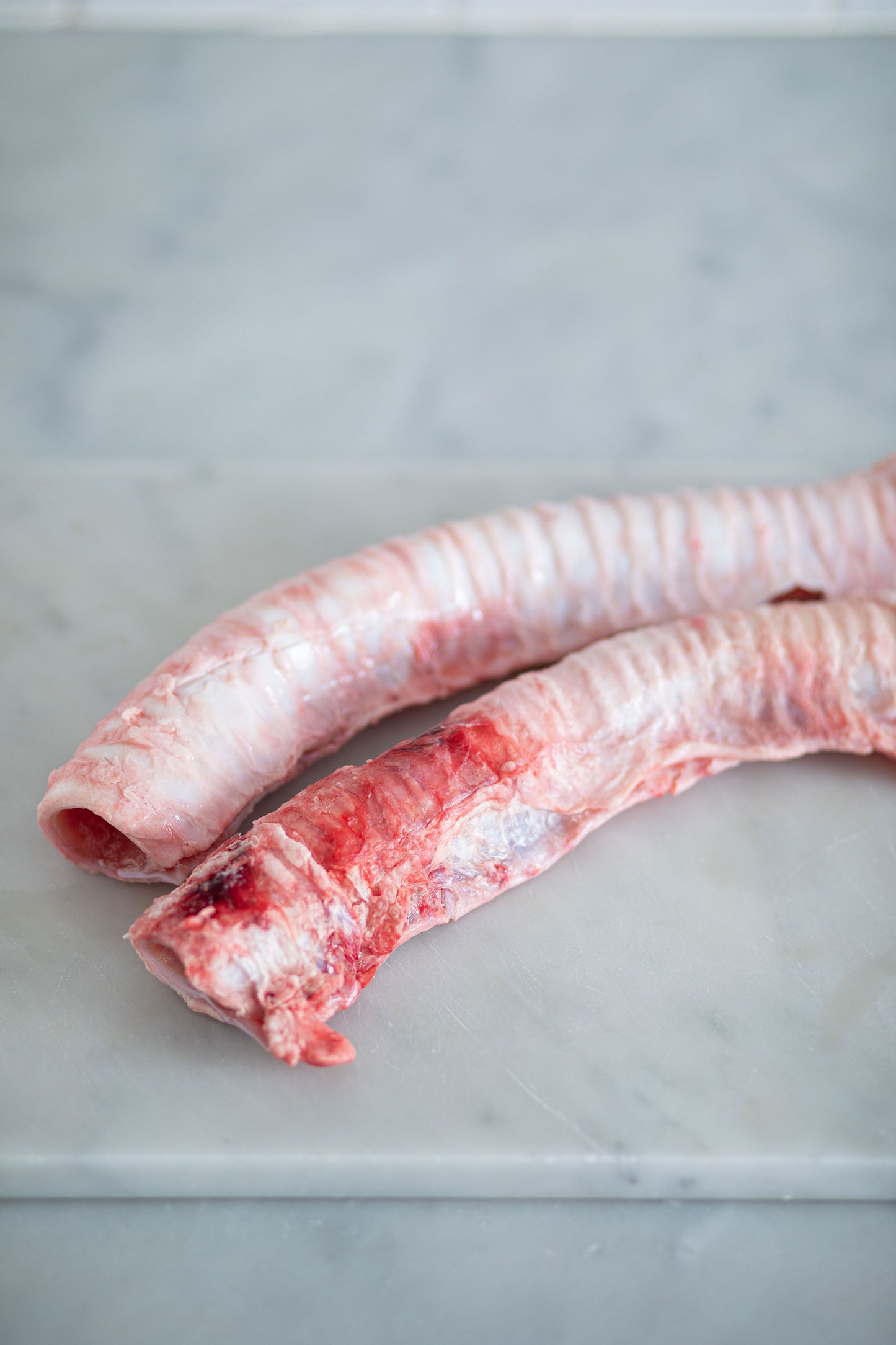 Lamb Trachea