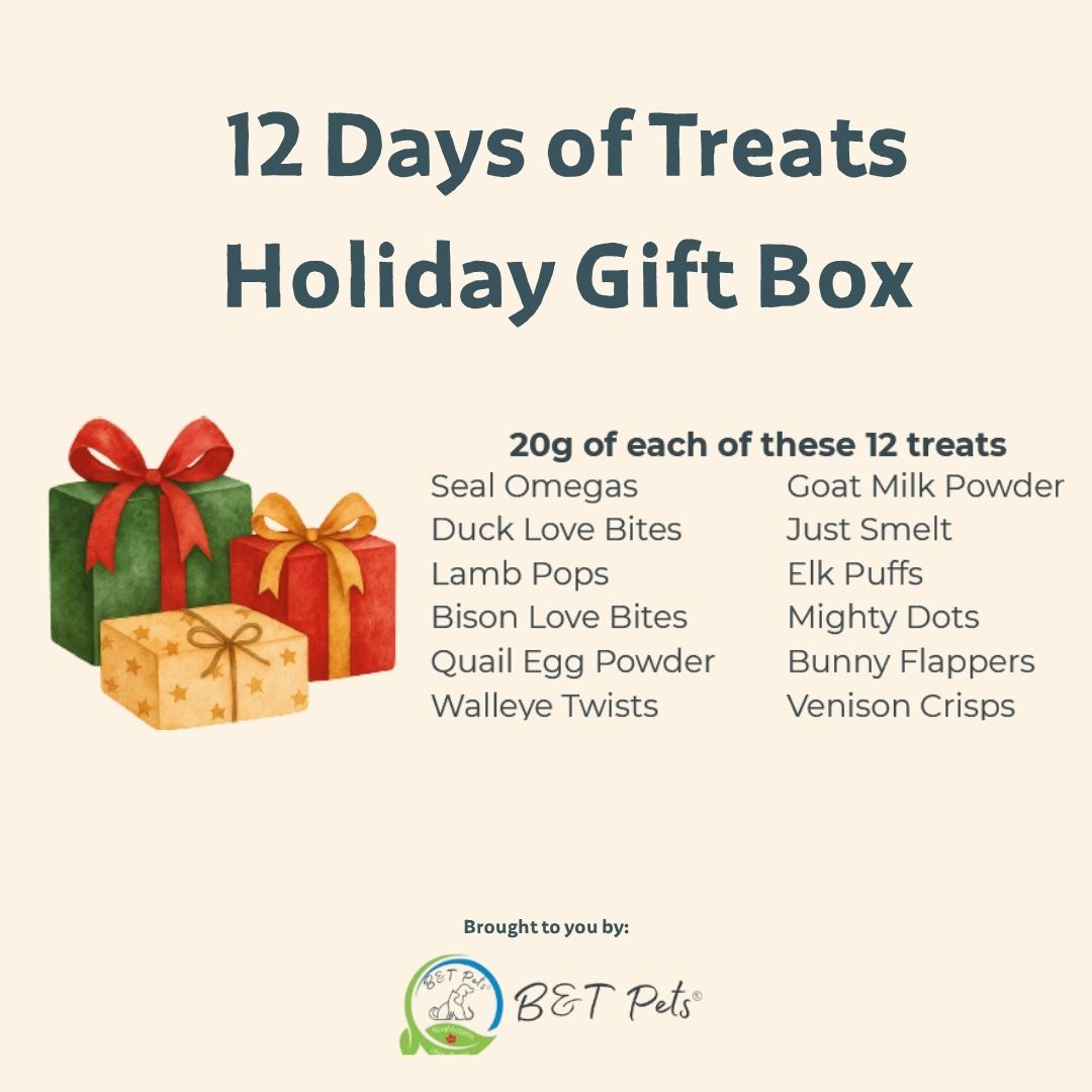 12 Days of Treats Holiday Gift Box