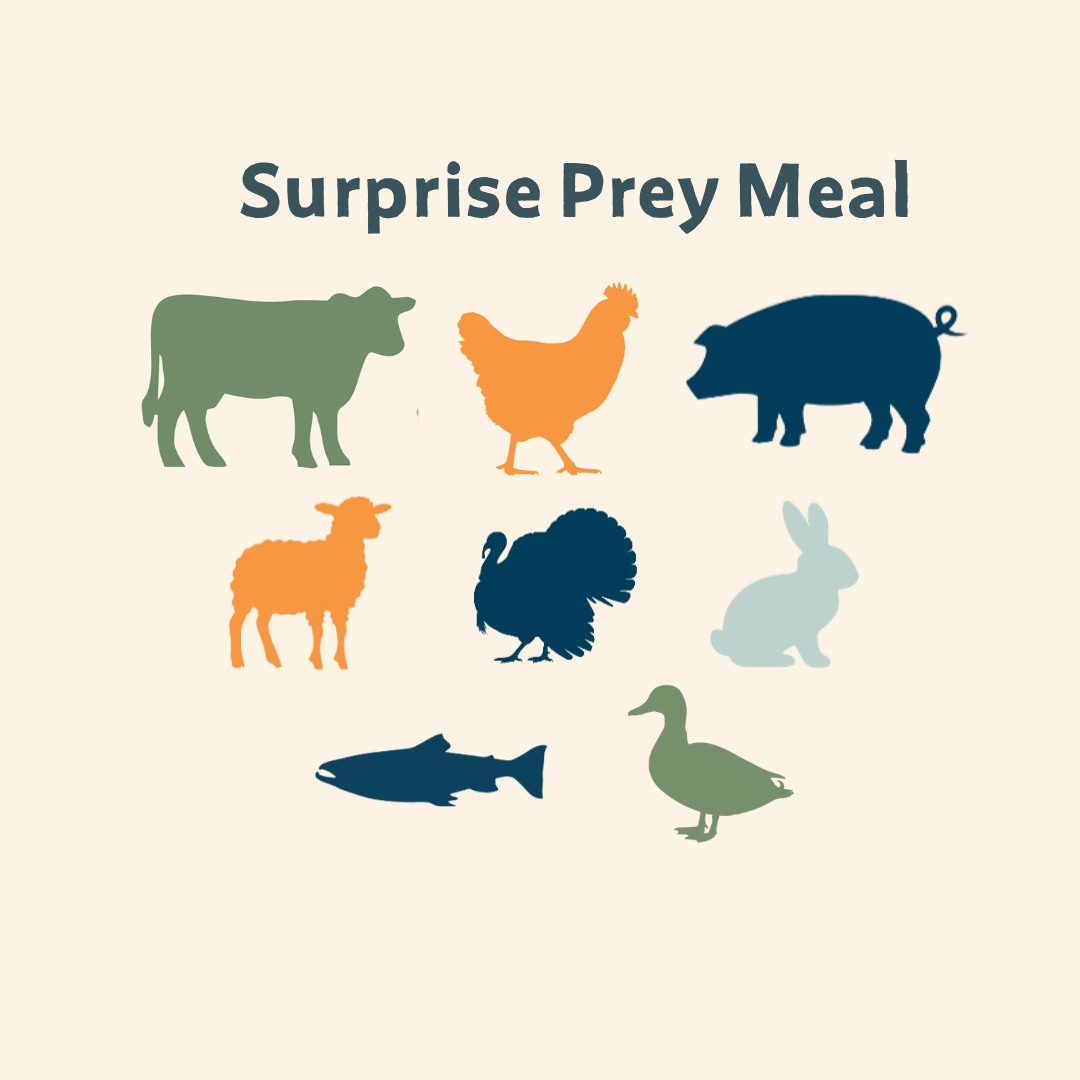 Surprise Prey Meal 1/2 lb pack